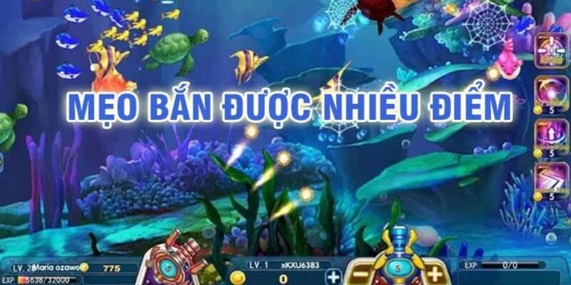 Mẹo chơi bắn cá vua tài lộc hiệu quả từ cao thủ