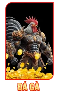 Đá gà dv88